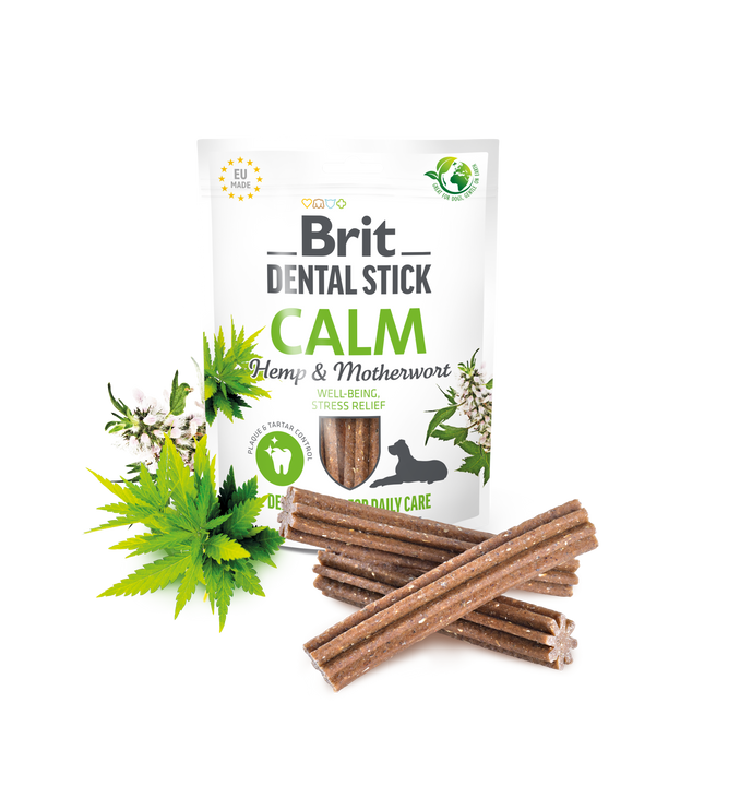 Dental Stick Calm with Hemp & Motherwort
